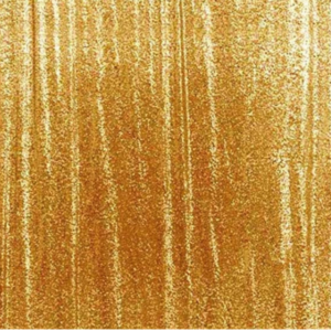 Gold Sequin Twister Wheel Events